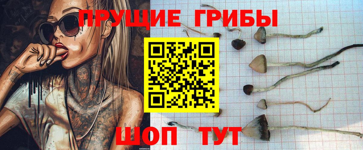 Псилоцибиновые грибы Magic Shrooms Изобильный