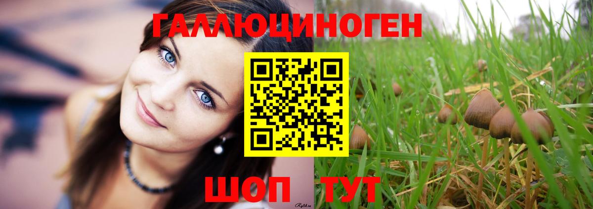 Изобильный  Псилоцибиновые грибы мицелий  Вход с VPN 